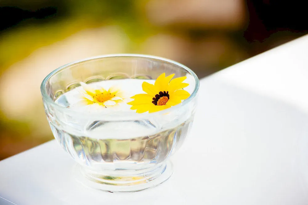 Hotel Il Mirto Bed And Breakfast Imperia